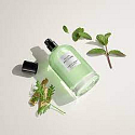 David Beckham Aromatic Greens eau de parfum for men 100 ml
