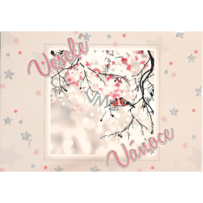 Nekupto Postcard with glitter Christmas pattern 5 Merry Christmas 15 x 11 cm