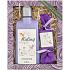 Bohemia Gifts Riding a bicycle Lavender shower gel 250 ml + toilet soap 30 g, cosmetic set