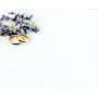 Nekupto Wedding card Newlyweds 115 x 170 mm 3464 F