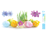 Arch Easter sticker, adhesive-free window film with eggs and sowing 35 x 16 cm