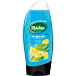 Radox Invigorate Mint and citrus oil 2 in 1 shower gel and shampoo 250 ml