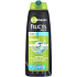 Garnier Fructis Men Menthol Power strengthening shampoo against dandruff 250 ml