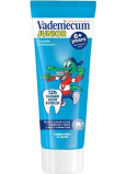 Vademecum Junior Spearmint toothpaste for children from 6 years 75 ml