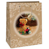 Ditipo Gift kraft bag 22 x 10 x 29 cm teddy bear 40