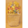 Canis Prosper Snack color delicacy for rodents, supplementary feed 1 piece