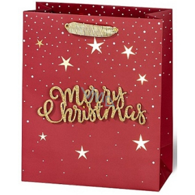 BSB Luxury gift paper bag 23 x 19 x 9 cm Christmas with 3D inscription Merry Christmas VDT 004-A5