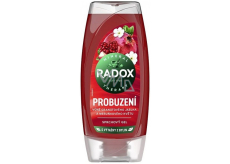 Radox Awakening Pomegranate and Apricot Blossom Shower Gel 225 ml