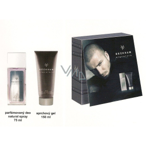 David Beckham Signature perfumed deo natural spray + shower gel, cosmetic set