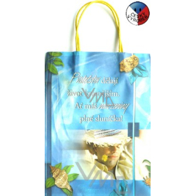 Nekupto Gift kraft bag 29 x 22 x 8 cm Friendships make 1 piece 023