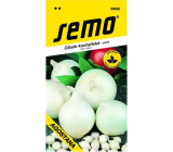 Semo Spring White Kitchen Onion Agostana 1 g