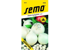 Semo Spring White Kitchen Onion Agostana 1 g