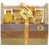 Raphael Rosalee Cosmetics Natural Care Shea butter shower gel 120 ml + bath foam 120 ml + body lotion 70 ml + body peeling 70 ml + box, cosmetic set