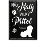 Nekupto Pets magnet Maltese 66 x 90 x 2 mm