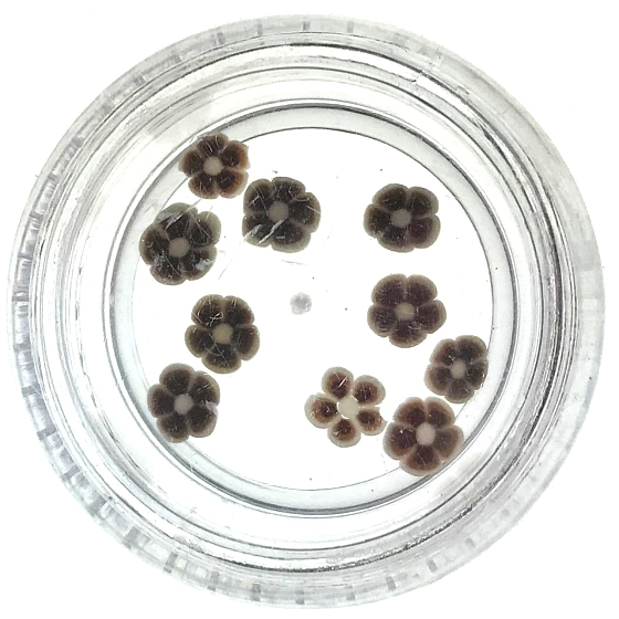 Professional nail decorations flower brown 132