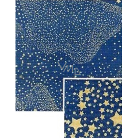 Nekupto Gift wrapping paper Christmas 70 x 150 cm Blue gold stars