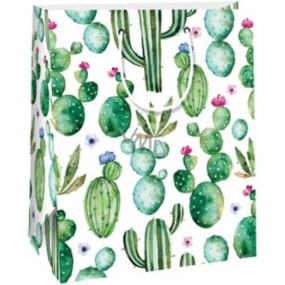 Ditipo Paper gift bag 26,4 x 32,4 x 13,7 cm Cacti