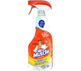 Mr. Muscle Kitchen Citrus Cleaner Spray 500 ml