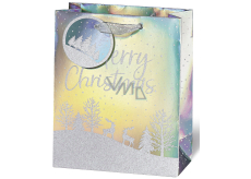 BSB Luxury paper gift bag 23 x 19 x 9 cm Christmas hologram with snow-covered landscape VDT 453 - A5
