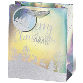 BSB Luxury paper gift bag 23 x 19 x 9 cm Christmas hologram with snow-covered landscape VDT 453 - A5
