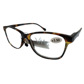 Berkeley Reading dioptric glasses +3.5 plastic black, black stripes 1 piece MC2248