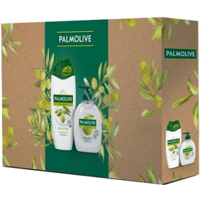 Palmolive Naturals Olive & Milk shower cream 250 ml + Naturals Milk & Olive liquid soap with dispenser 300 ml, cosmetic set for women