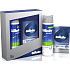 Gillette Series Cool Wave aftershave 100 ml + Series Sensitive shaving foam 250 ml, cosmetic set, for men