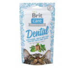 Brit Care Cat Snack Dental Turkey semi-soft supplementary food for cats 50 g