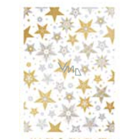 Ditipo Gift wrapping paper 70 x 200 cm Luxury white gold-silver stars