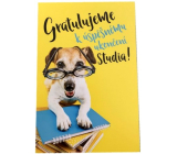 Nekupto Graduation card 115 x 170 mm 3452 F