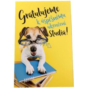 Nekupto Graduation Card 115 x 170 mm 3452 F