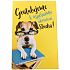 Nekupto Graduation Card 115 x 170 mm 3452 F