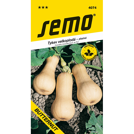 Semo Butternut Musky Squash Climbing 2 g