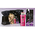 Taffeta Power Cashmere bag + hair shampoo + nail polish + firming foam, cosmetic set