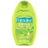 Palmolive Aroma Therapy Morning Tonic shower gel 250 ml