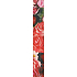 Nekupto Gift wrapping paper 70 x 150 cm Red roses 1 roll