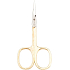 Titania Solingen nail clippers, gold plated with satin finish, made of high-quality steel, length 9.5 cm