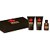 Dsquared2 Wood for Him Eau de Toilette for Men 5 ml + shower gel 25 ml + aftershave 25 ml, gift box