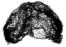 Abella Hair Net D - 70