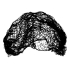 Abella Hair Net D - 70
