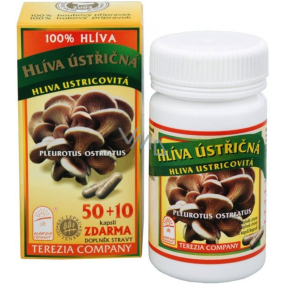 Terezia Oyster mushroom without additives food supplement 60 capsules