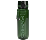 Albi Tritan bottle with ferns 500 ml