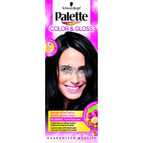 Schwarzkopf Palette Color & Gloss hair color 1 - 0 Black praline