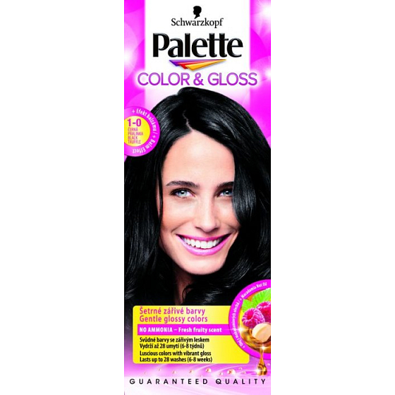 Schwarzkopf Palette Color & Gloss hair color 1 - 0 Black praline