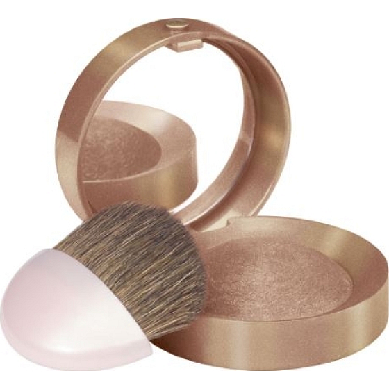 Bourjois Little Round Pot Blush blush 10 Chataigne Doree 2.5 g