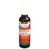 Dr. Popov Magical Christmas air freshener sprayer 50 ml