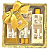 Salsa Collection Luxury Gold Peony and Jasmine shower gel 170 ml + body lotion 170 ml + bath foam 150 ml + sequin box, cosmetic set