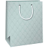 Ditipo Gift paper bag 18 x 10 x 22,7 cm White, green ornaments