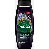 Radox Men Feel Recovered 2in1 Shower Gel and Shampoo for Men 450 ml