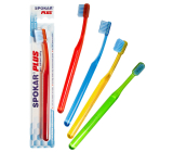 Spokar 3428 Plus Medium Small brush head densely filled with Hexagonal bristles with a straight cut